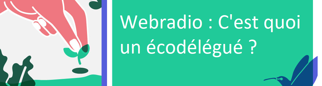 Emission de la webradio : c’est quoi un écodélégué ?